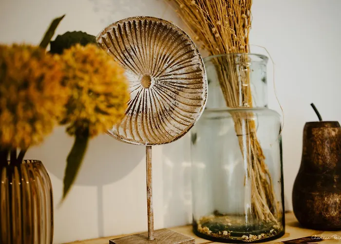 La Bogue * Vals-les-Bains